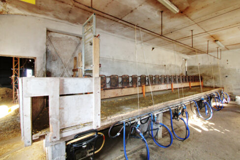 IMG_1707 (2)