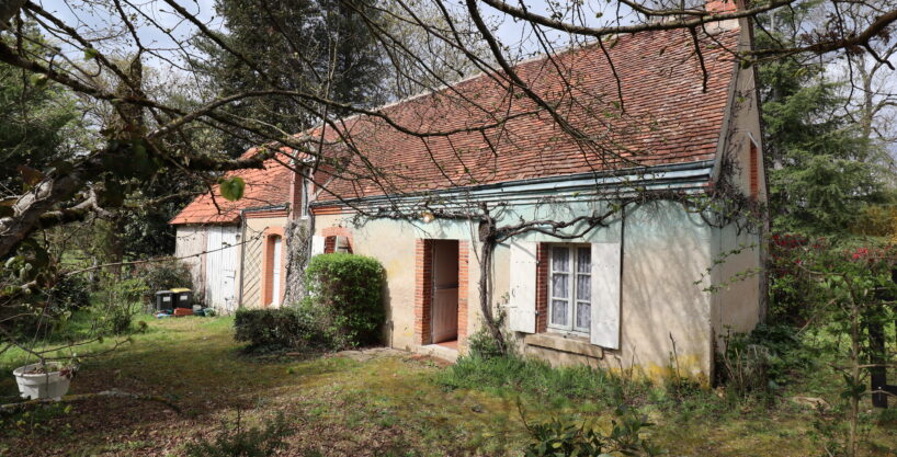 Habitation de 58 m² sur 3 000 m² de terrain (41)