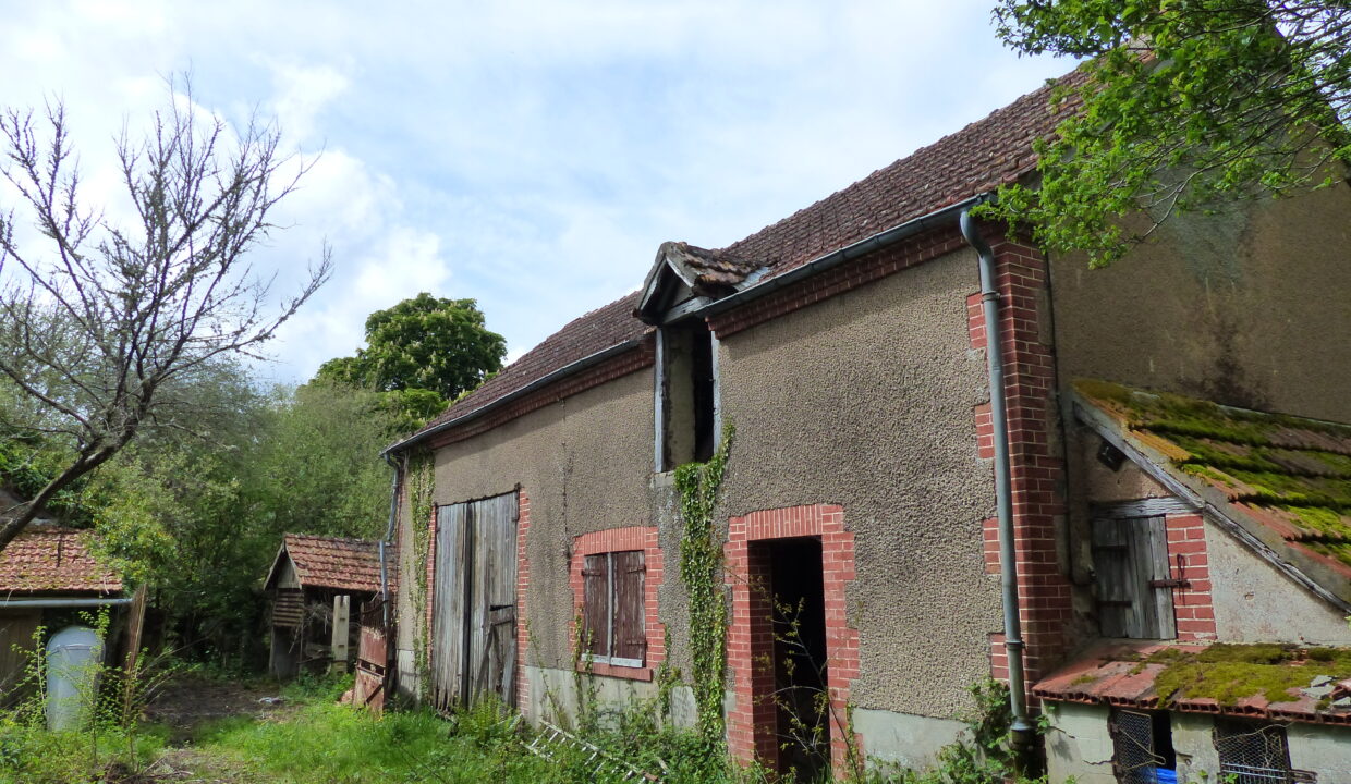 P1150141