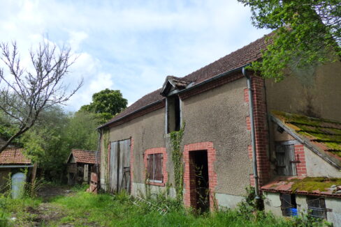 P1150141