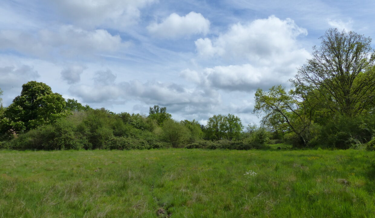 P1150145