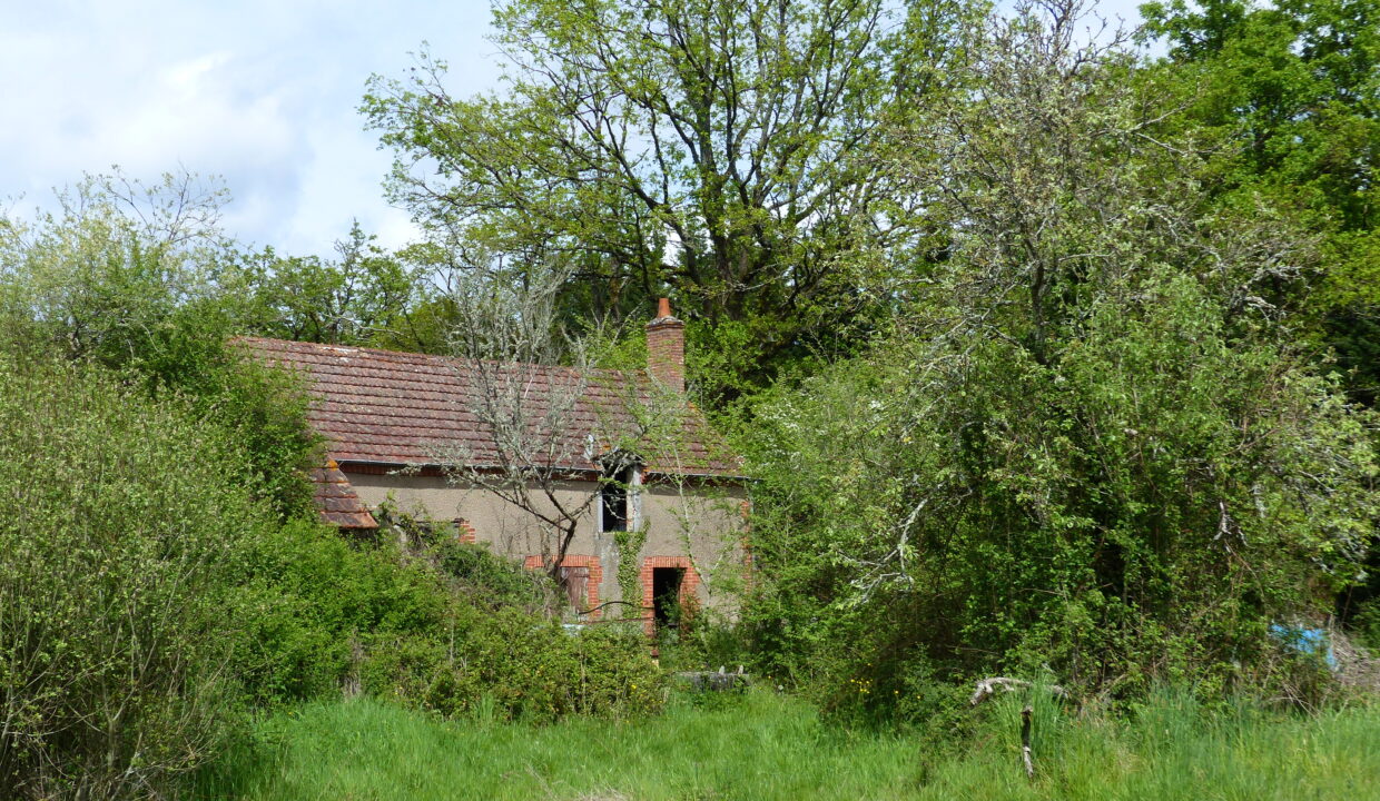 P1150146