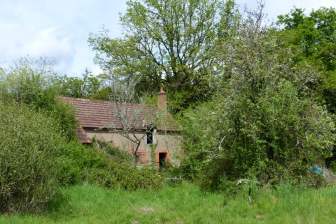 P1150146