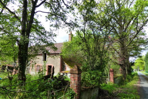 P1150151