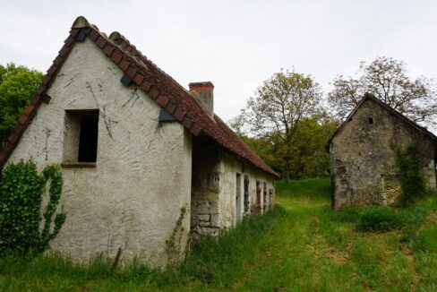 DSC03124
