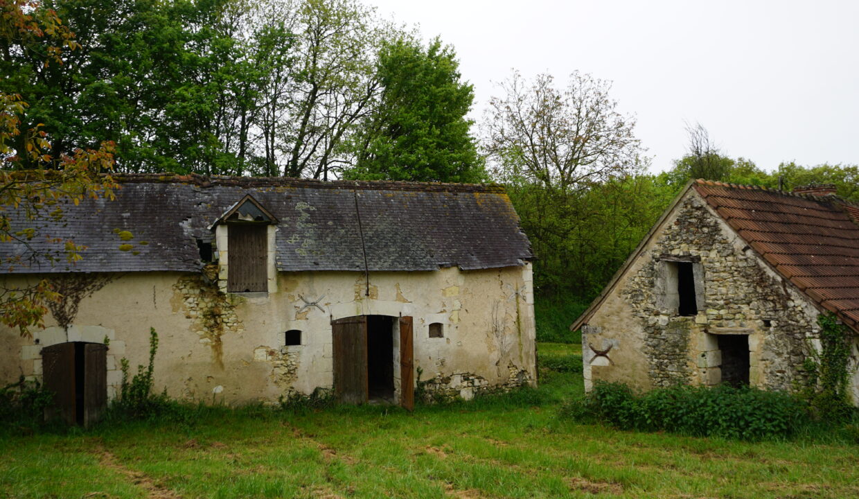 DSC03134