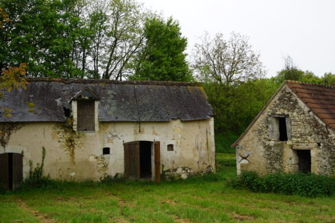 DSC03134